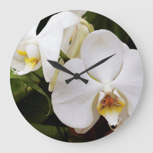 Reloj Redondo Grande White Moon Orchid (Phalaenopsis Aphrodite)