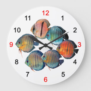 Reloj Redondo Grande Wild Discusfish