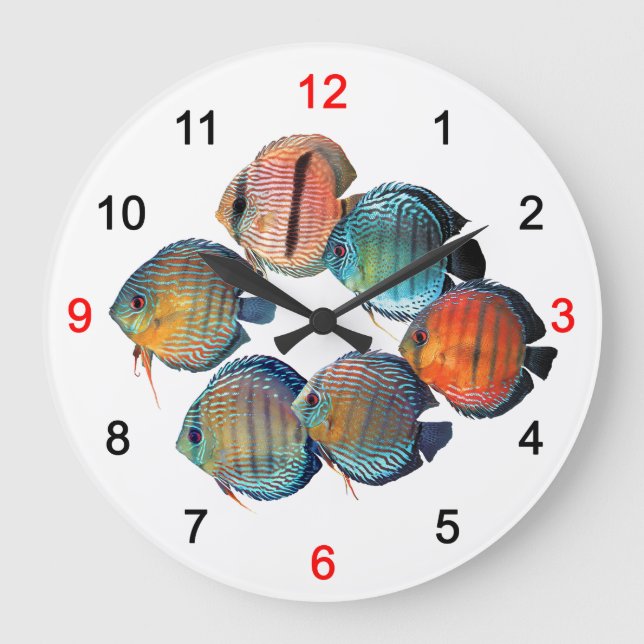 Reloj Redondo Grande Wild Discusfish (Anverso)