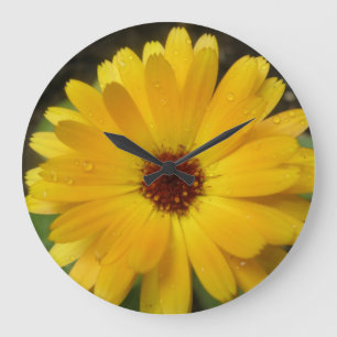 Reloj Redondo Grande Yellow Marigold Macro Wall Clock