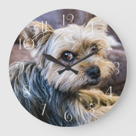 Reloj Redondo Grande Yorkshire Terrier