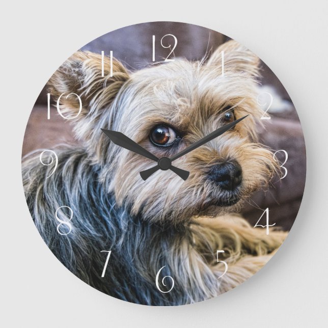 Reloj Redondo Grande Yorkshire Terrier (Anverso)