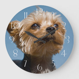 Reloj Redondo Grande Yorkshire Terrier