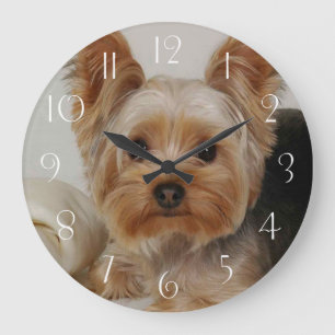 Reloj Redondo Grande Yorkshire Terrier