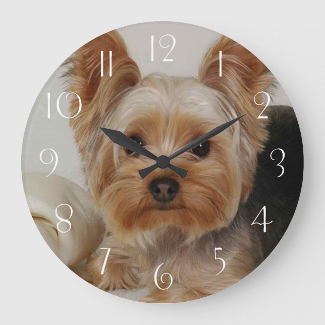 Reloj Redondo Grande Yorkshire Terrier (Anverso)