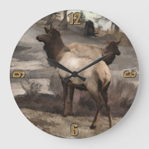 Reloj Redondo Grande Young Elk Bucks - Banff Alberta