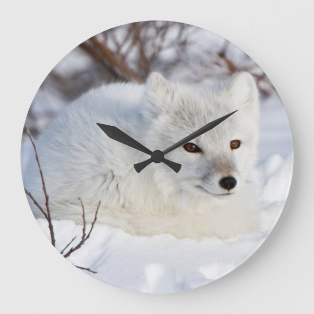 Reloj Redondo Grande Zorro ártico en invierno (Anverso)