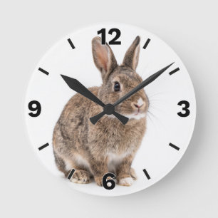 RELOJ REDONDO MEDIANO
