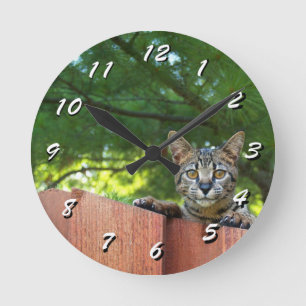 Reloj Redondo Mediano 12 Number Choices to Choose --Cat Clock