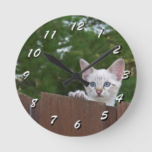 Reloj Redondo Mediano 12 Number Choices to Choose --Cat Clock