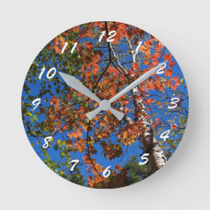 Reloj Redondo Mediano 12 Number Choices to Choose From Scenic Clock