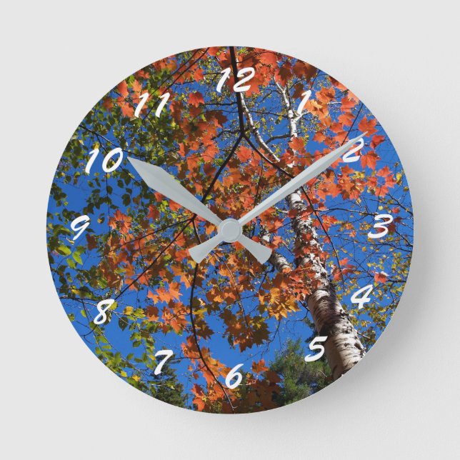 Reloj Redondo Mediano 12 Number Choices to Choose From Scenic Clock (Anverso)