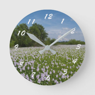 Reloj Redondo Mediano 12 Number Choices to Choose From Scenic Clock