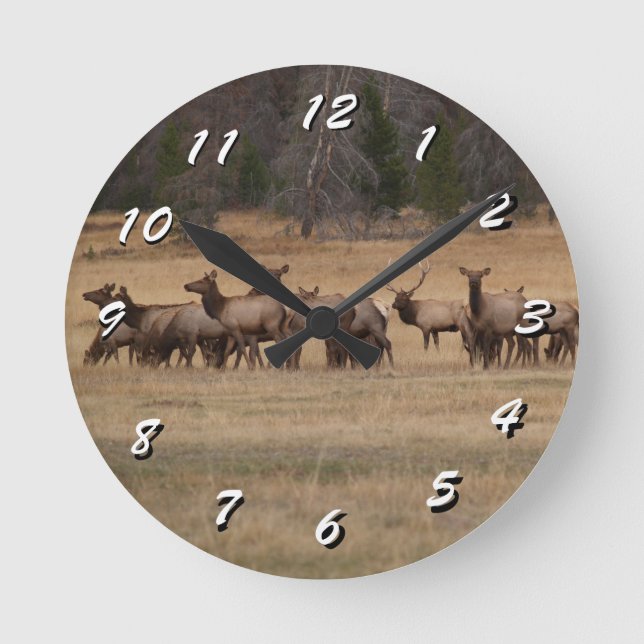 Reloj Redondo Mediano 12 opciones numéricas para elegir —Elk Herd—Reloj (Anverso)