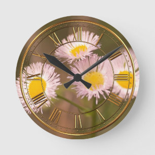 Reloj Redondo Mediano a