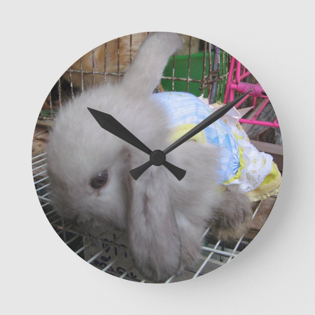 Reloj Redondo Mediano A Rabbit in a Dress (Anverso)
