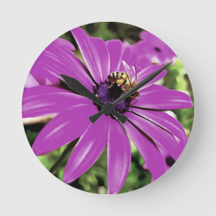 Reloj Redondo Mediano Abeja De Miel En Un Arte De Daisía Morado Africano