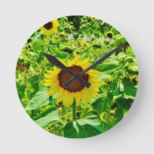 Reloj Redondo Mediano Abeja en el girasol amarillo