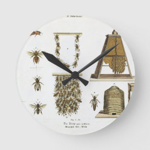 Reloj Redondo Mediano Abejas y apicultura, "de la persona de tierra