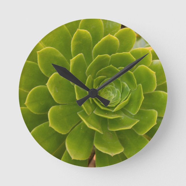 Reloj Redondo Mediano Abrazo verde de Madeira (Anverso)