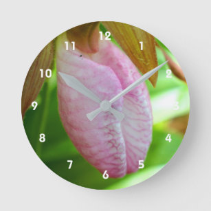 Reloj Redondo Mediano Acercamiento de la flor Orquídea de Lady Rosa Páli
