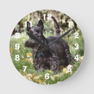 Reloj Redondo Mediano Ach