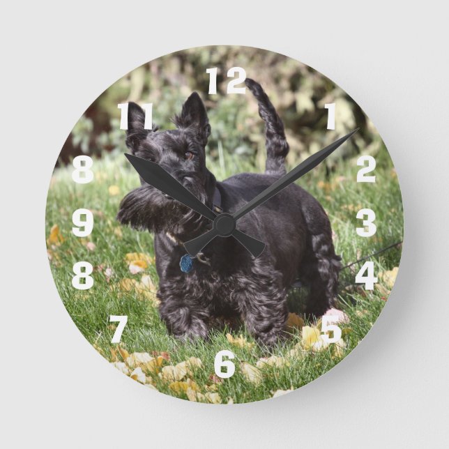 Reloj Redondo Mediano Ach (Anverso)