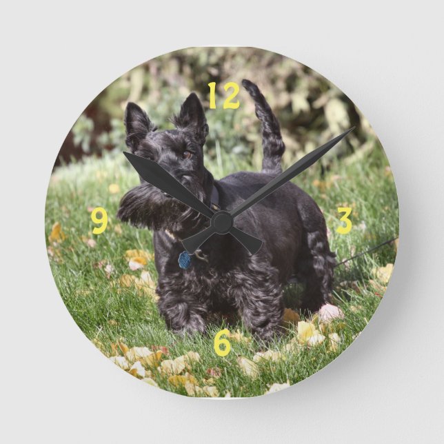 Reloj Redondo Mediano Ach Watch (Anverso)