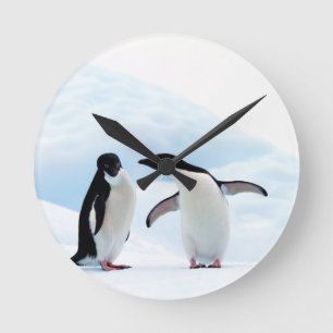 Reloj Redondo Mediano Adelie Penguins