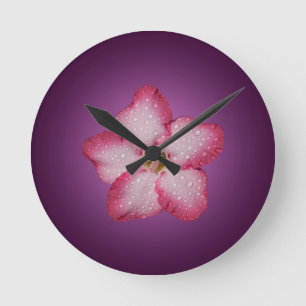 Reloj Redondo Mediano Adenium Flor Rosa Flora Gradiente Violeta
