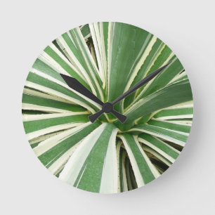 Reloj Redondo Mediano Agave Plant Green y White Strike