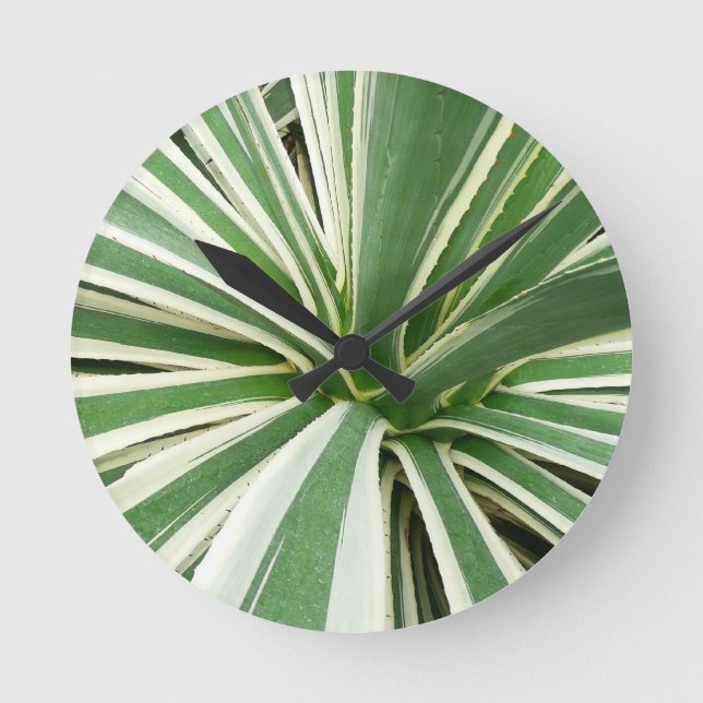 Reloj Redondo Mediano Agave Plant Green y White Strike (Anverso)