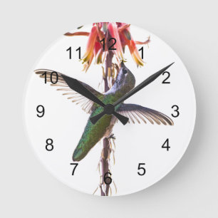 Reloj Redondo Mediano Alas del colibrí