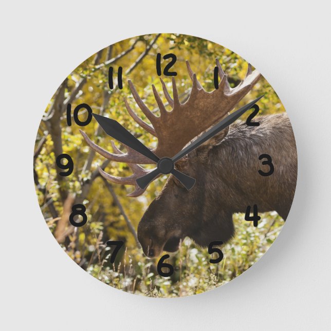 Reloj Redondo Mediano Alces nobles de Bull (Anverso)