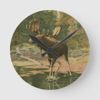 Alces que caminan en agua