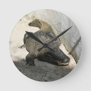 Reloj Redondo Mediano Alligator, Fort Lauderdale, Florida
