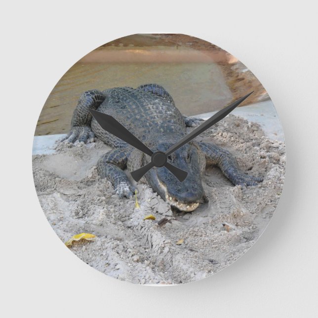 Reloj Redondo Mediano Alligator, Fort Lauderdale, Florida (Anverso)