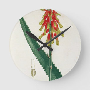 Reloj Redondo Mediano Áloe de "Phytographie Medicale" por José Roques