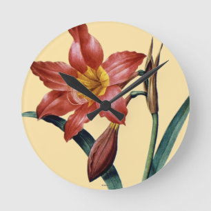 Reloj Redondo Mediano Amaryllis