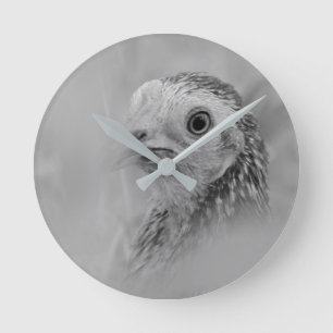 Reloj Redondo Mediano American Game Hen