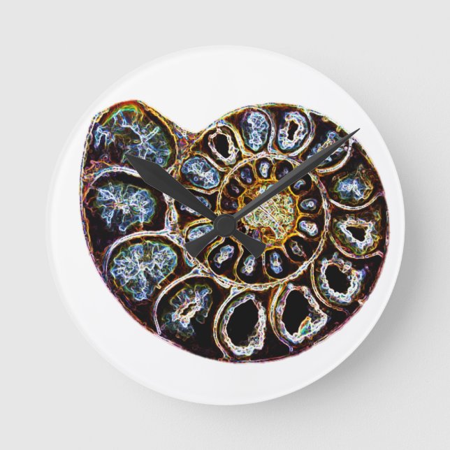 Reloj Redondo Mediano Ammonita (Anverso)