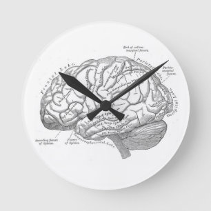Reloj Redondo Mediano Anatomía del cerebro del vintage