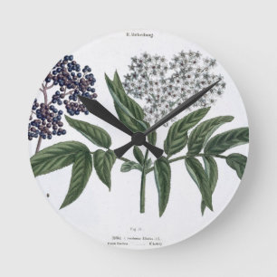 Reloj Redondo Mediano Anciano, fig. 13 "de la persona de tierra firme