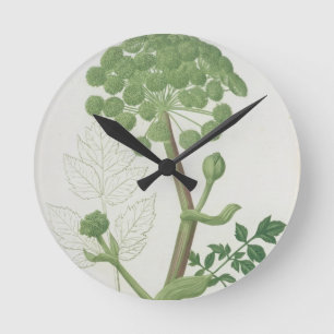 Reloj Redondo Mediano Angelica Archangelica de 'Phytographie Medicale'