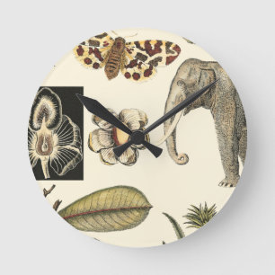 Reloj Redondo Mediano Animales clasificados pintados en el fondo poner