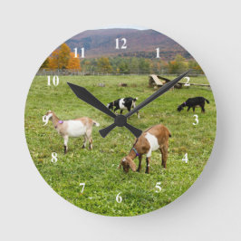 Reloj Redondo Mediano Animales Goats Pasture Vermont Photo