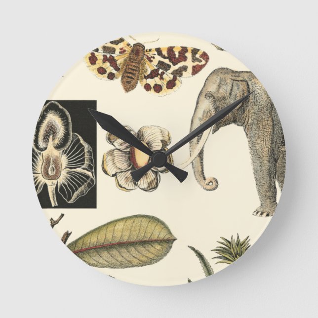 Reloj Redondo Mediano Animales variados pintados con fondo crema (Anverso)