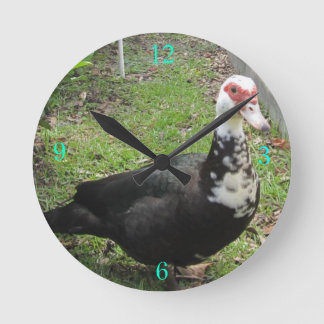 Reloj Redondo Mediano Apenas un Qwack a tiempo