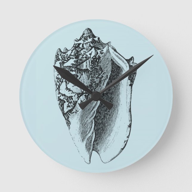 Reloj Redondo Mediano Aqua Conch Shell (Anverso)