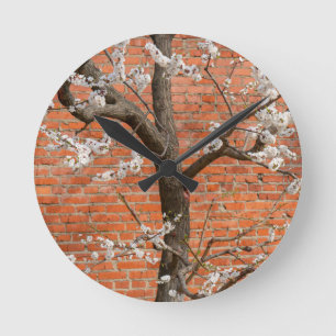 Reloj Redondo Mediano Árbol de albaricoque en flor junto a pared de ladr